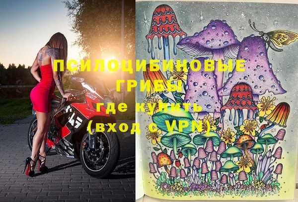 молекула духа Вязники