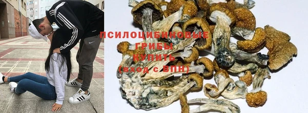 молекула духа Володарск