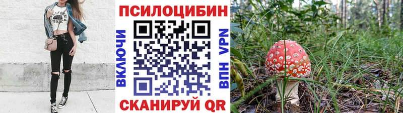 Псилоцибиновые грибы Psilocybine cubensis  Кандалакша 